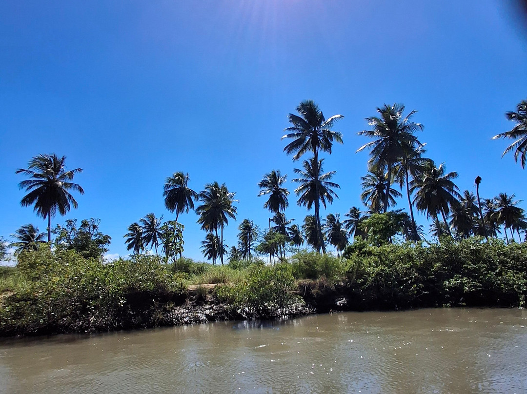 Aventura Eco Brasil-Barra de Sao Miguel必去景点
