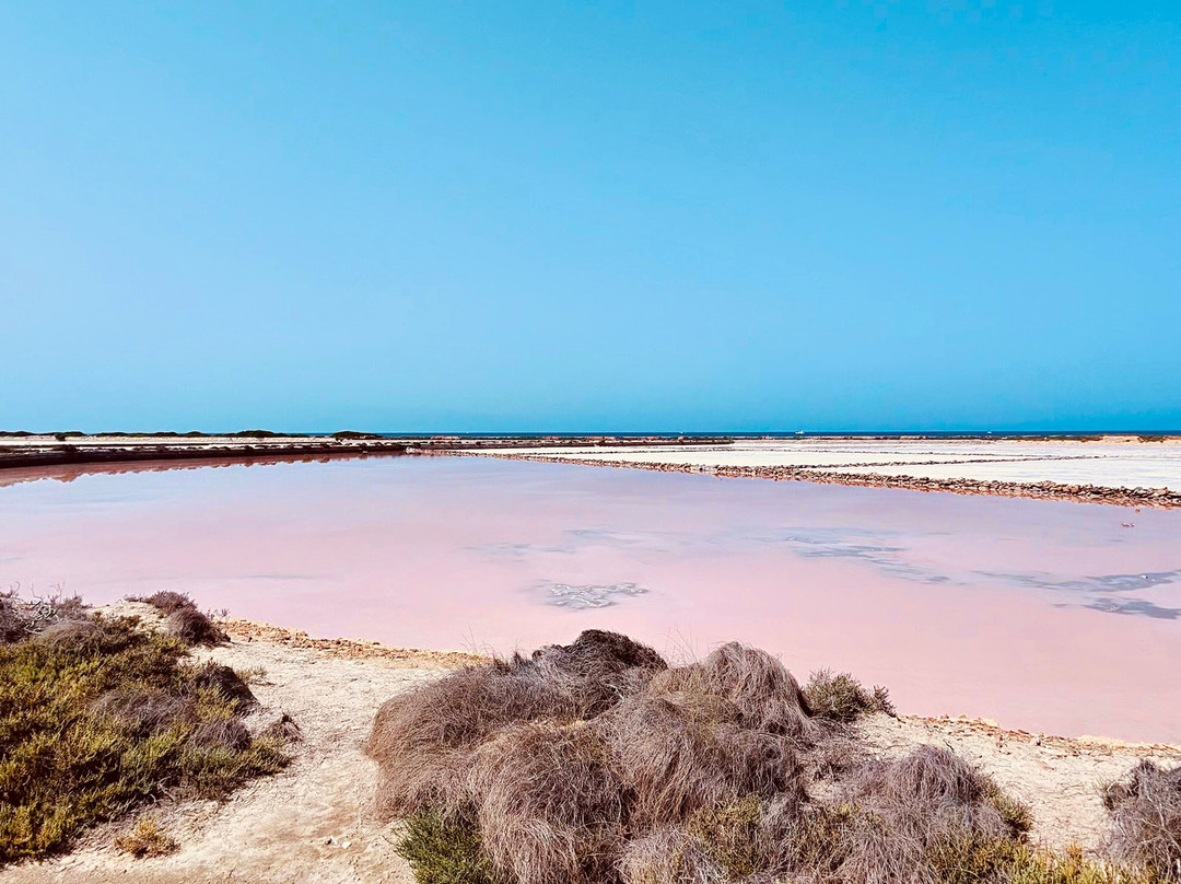 Saline of the Laguna Marsala-马尔萨拉必去景点