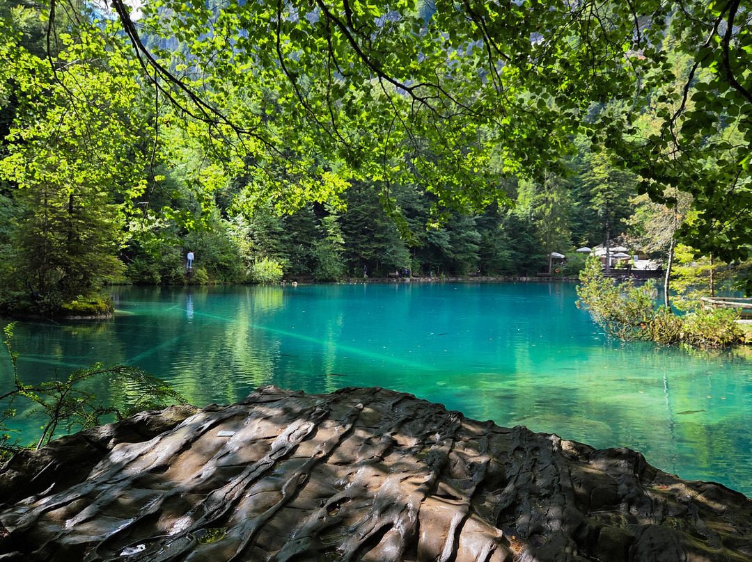 Nature Park Blausee-Blausee-Mitholz必去景点