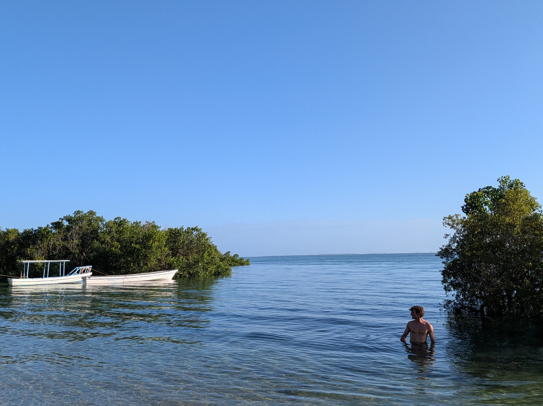 Safari Shwari Mafia Island-Utende必去景点