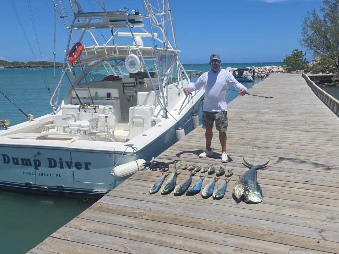 Mahi Mahi Fishing Tours - Private Charters-普拉塔港必去景点