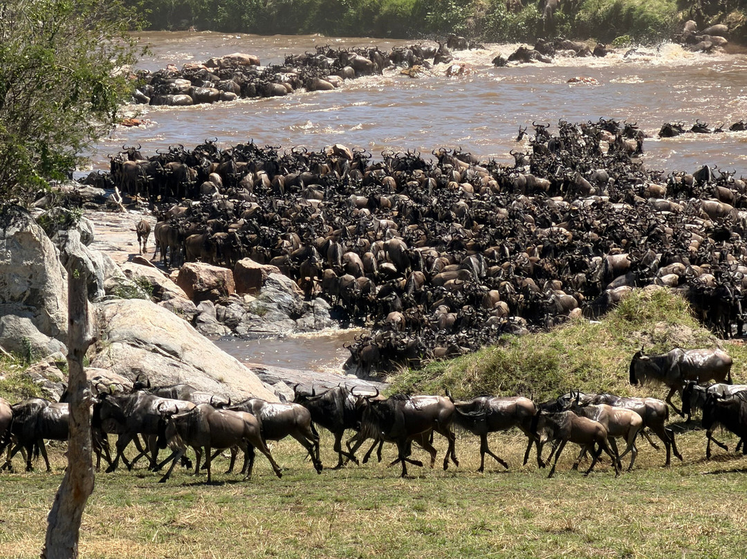 Makasa Tanzania Safaris-莫西必去景点