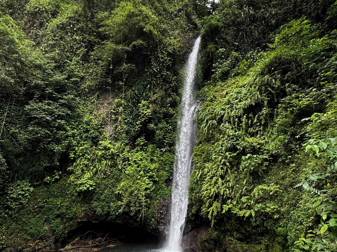Bombaim Waterfalls-Bombaim必去景点