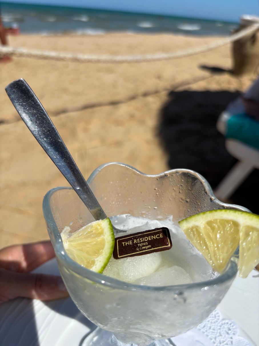突尼斯的公馆酒店-旅行者
