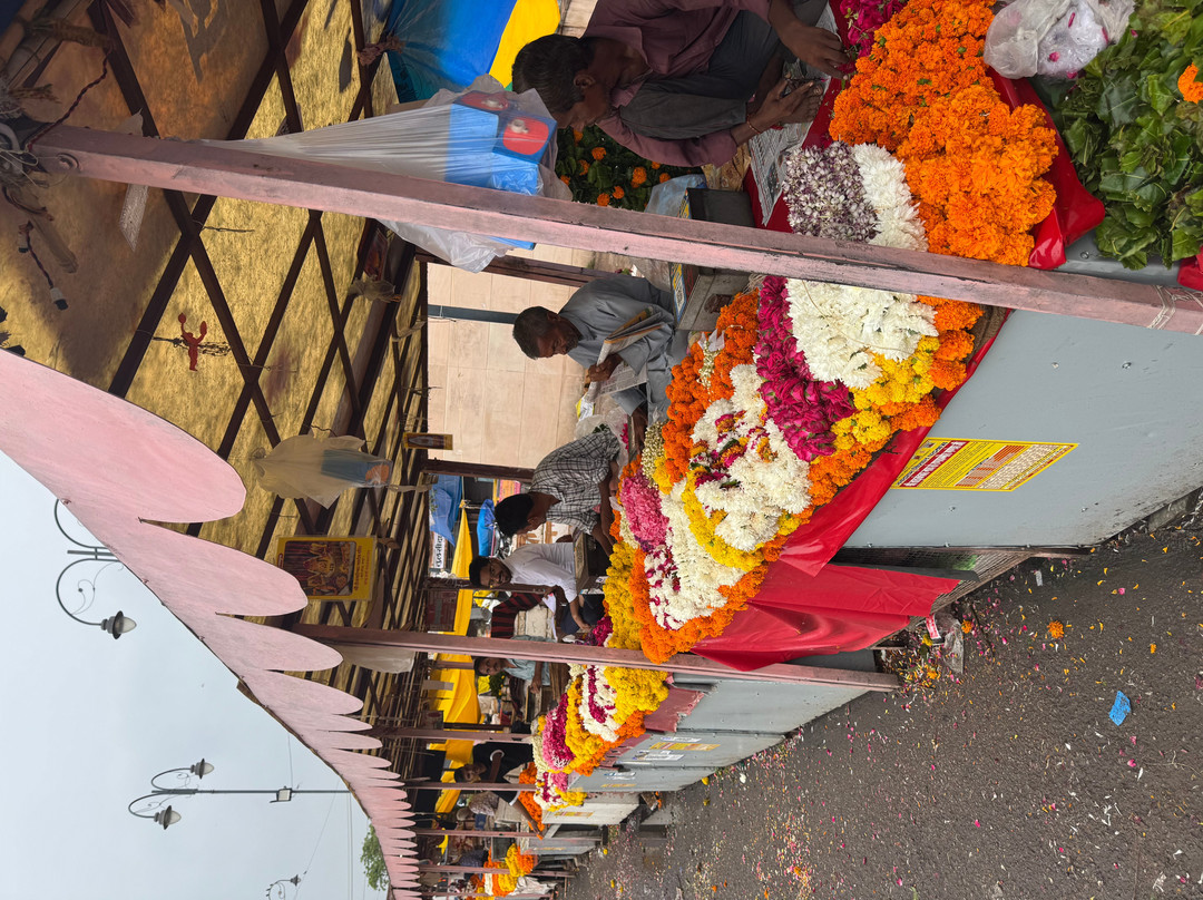 Reve India Tours-新德里必去景点