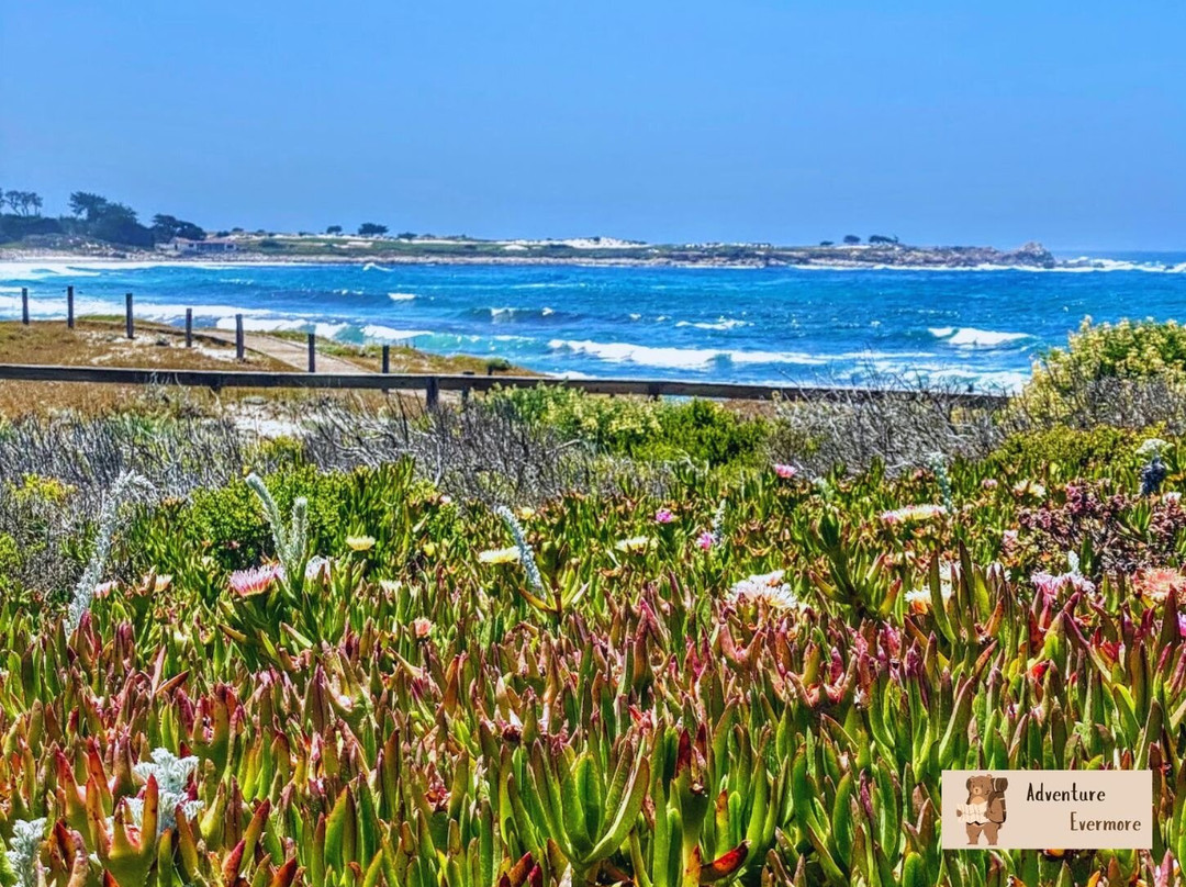 The Links at Spanish Bay-圆石滩必去景点