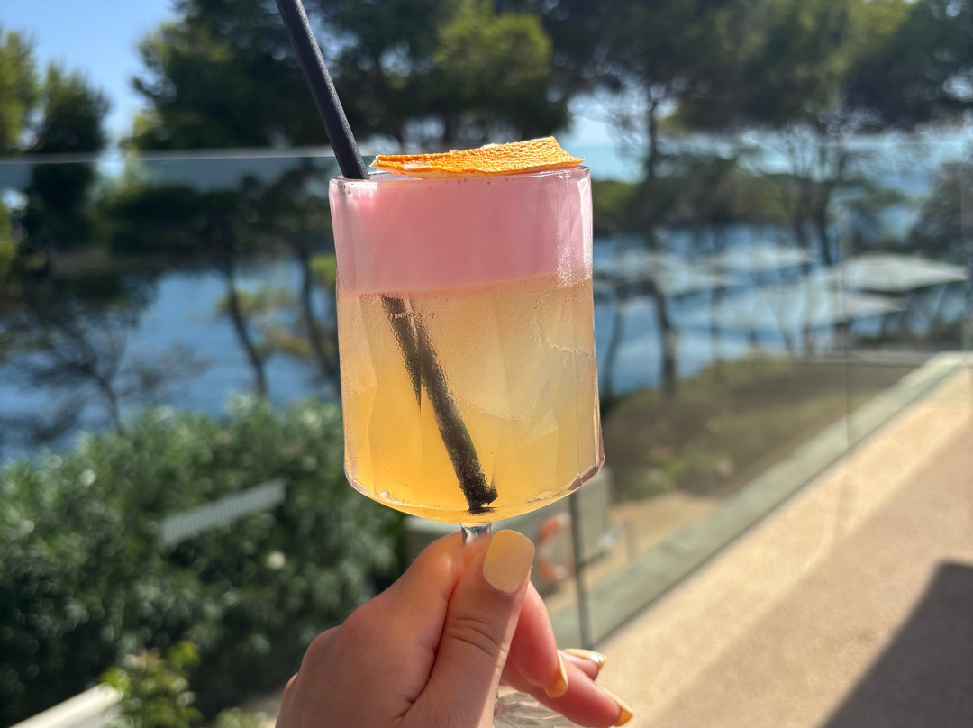 布劳波尔图彼得罗海滩水疗度假酒店主图