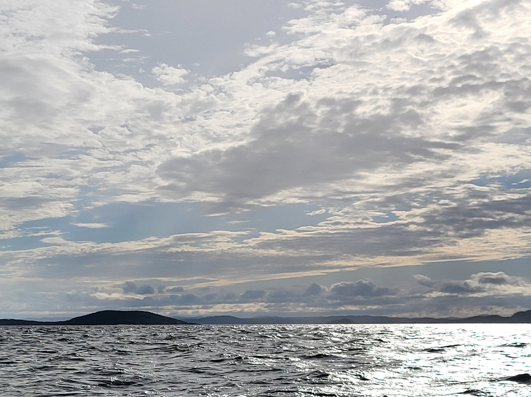 Sea of Whales Adventures-Trinity必去景点