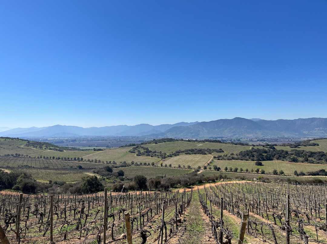Natural Wine Tours-Palmilla必去景点