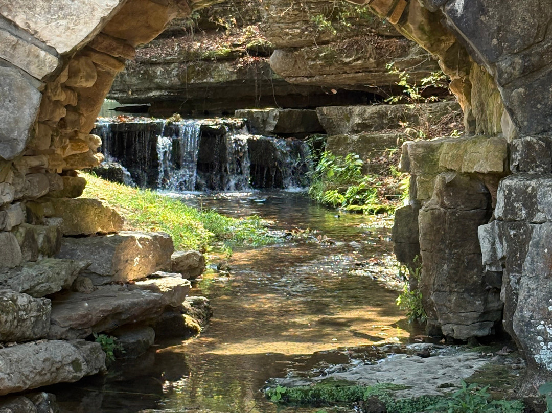 Dogwood Canyon Nature Park-Lampe必去景点