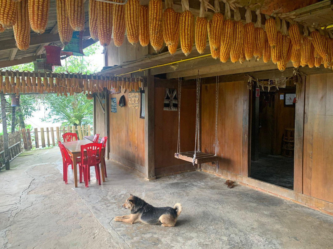 Sapa Big Tree Hmong Homestay主图