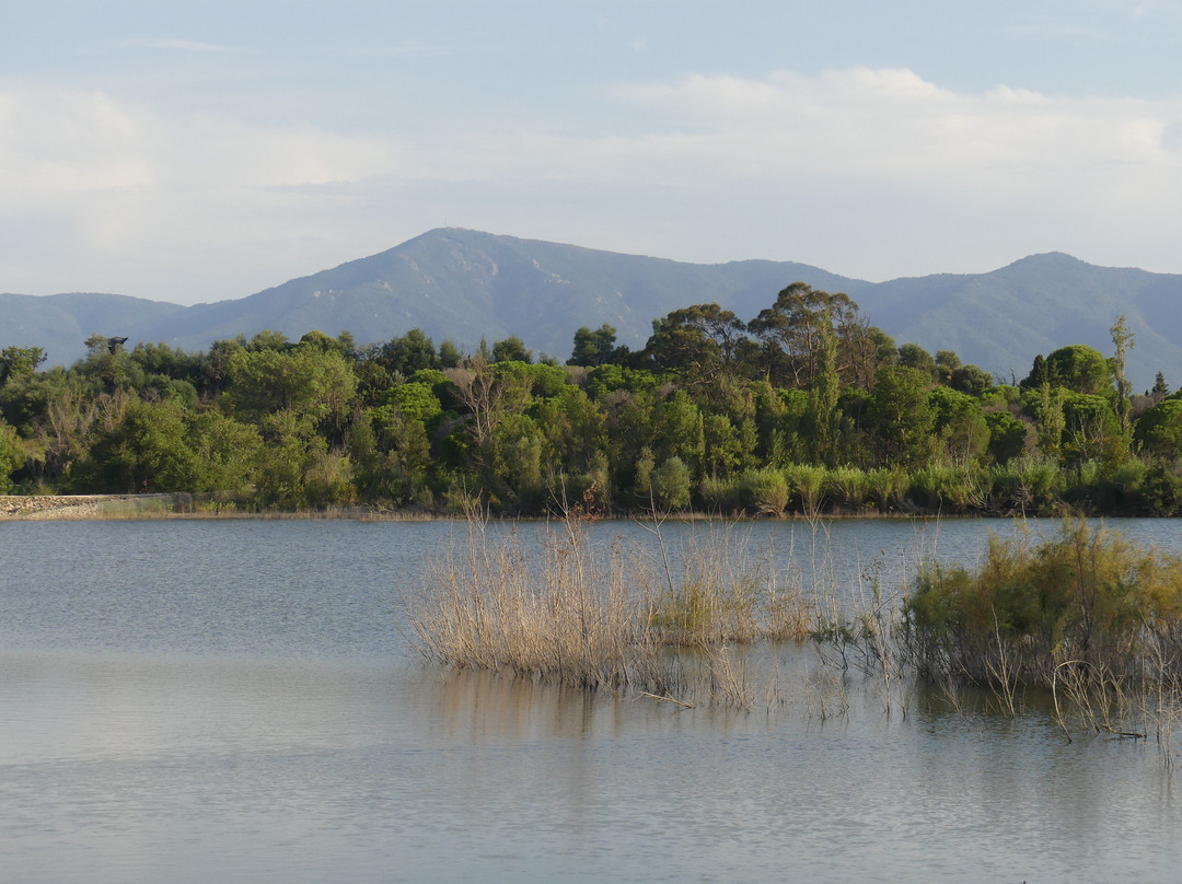 Lac de Villeneuve-de-la-Raho-Villeneuve-de-la-Raho必去景点
