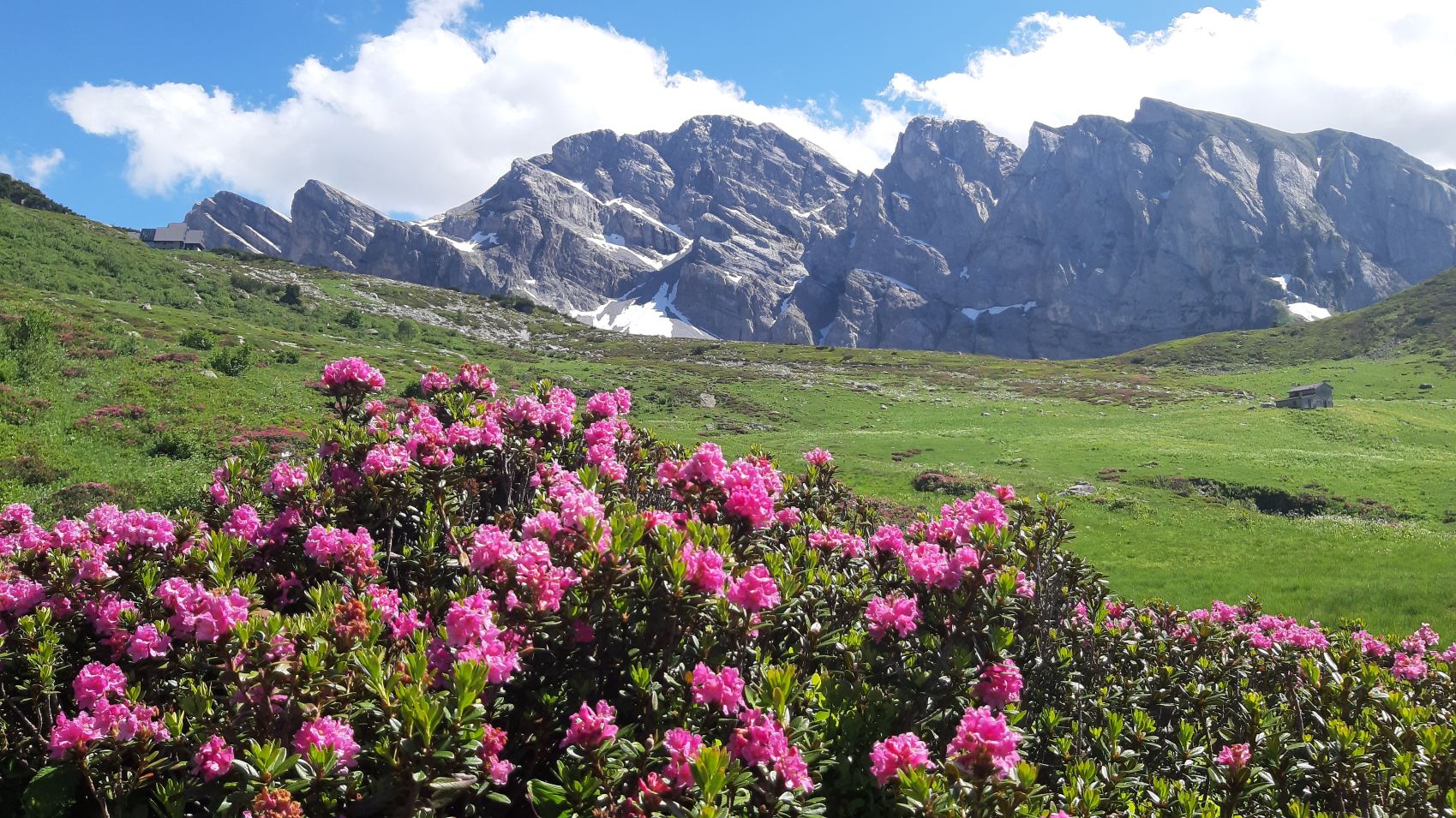 Rifugio Garelli-旅行者