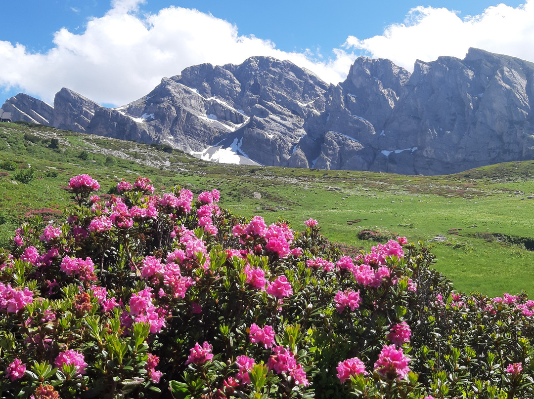 Rifugio Garelli主图