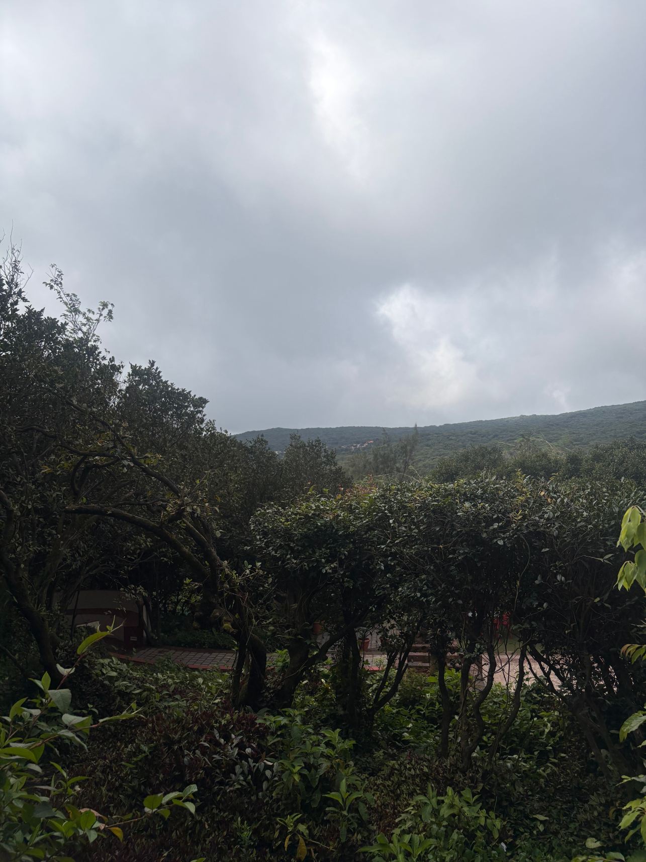 贝拉维斯塔度假村-旅行者