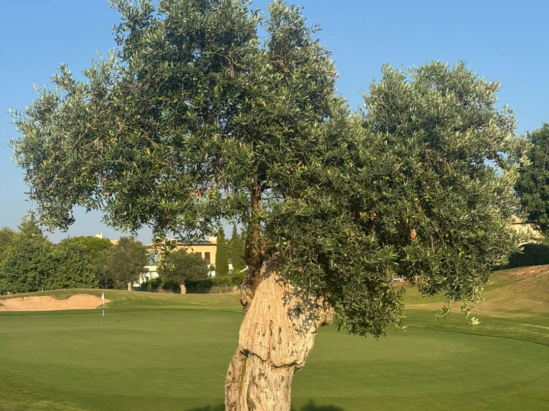 Aphrodite Hills Golf Course-库克利亚必去景点