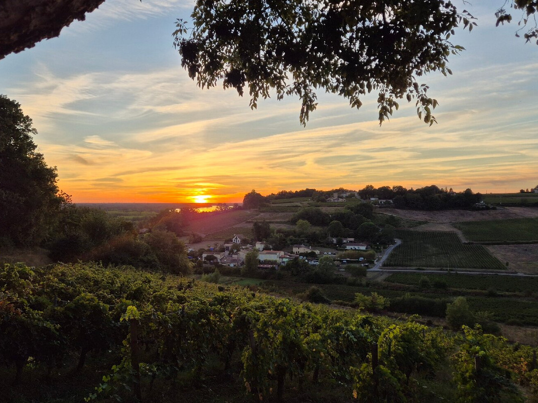 Château Cassagne Haut Canon-Saint-Michel-de-Fronsac必去景点