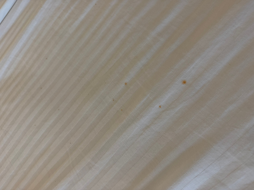 米茨斯阿利拉主图