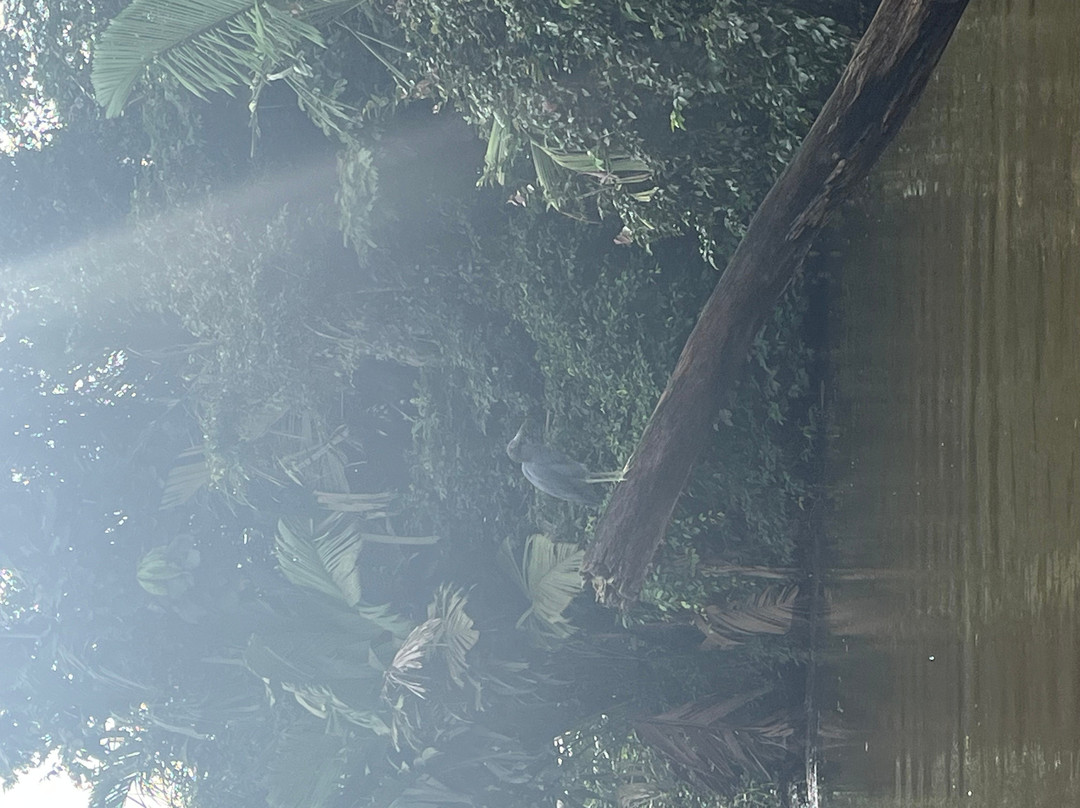 Costa Rica Roots Tours-托图杰多必去景点