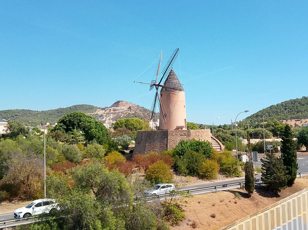 Molino de Santa Ponsa-圣庞沙必去景点