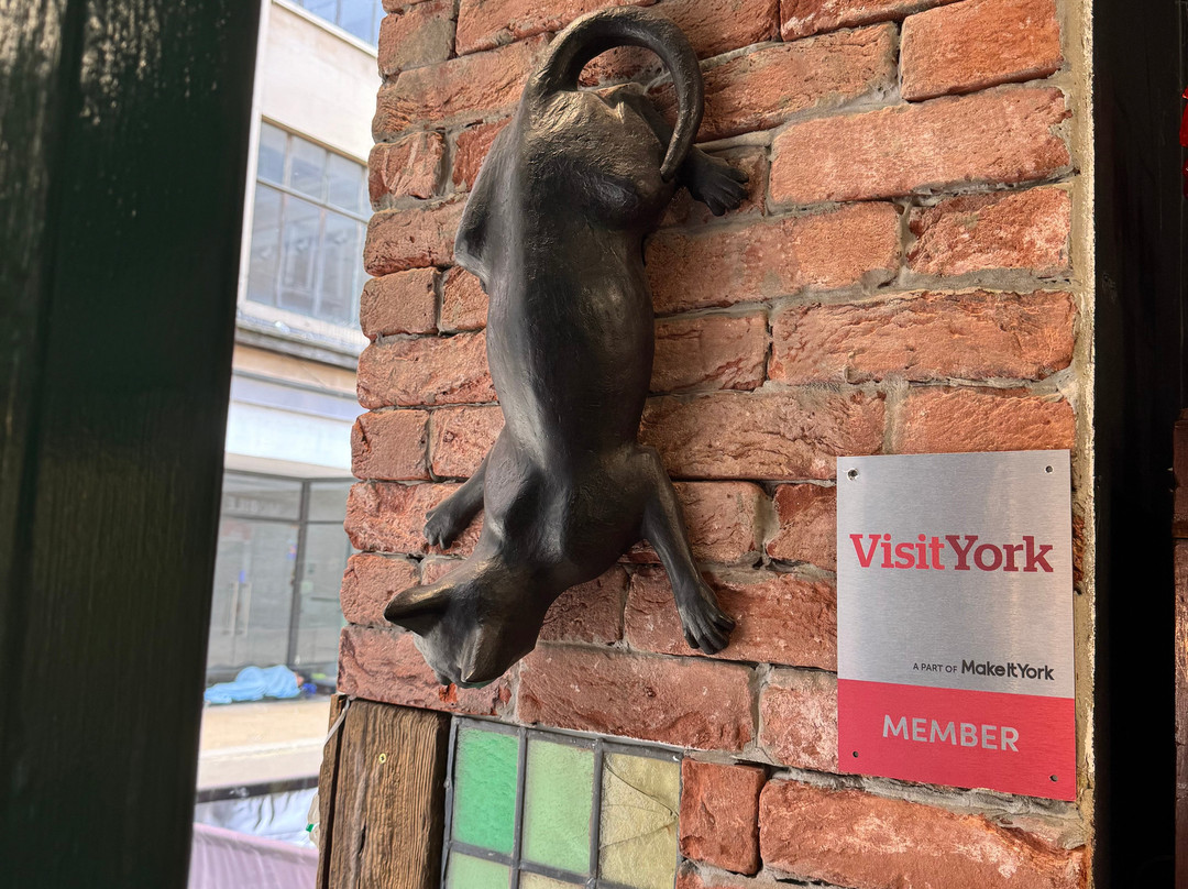 York Cat Trail-约克必去景点