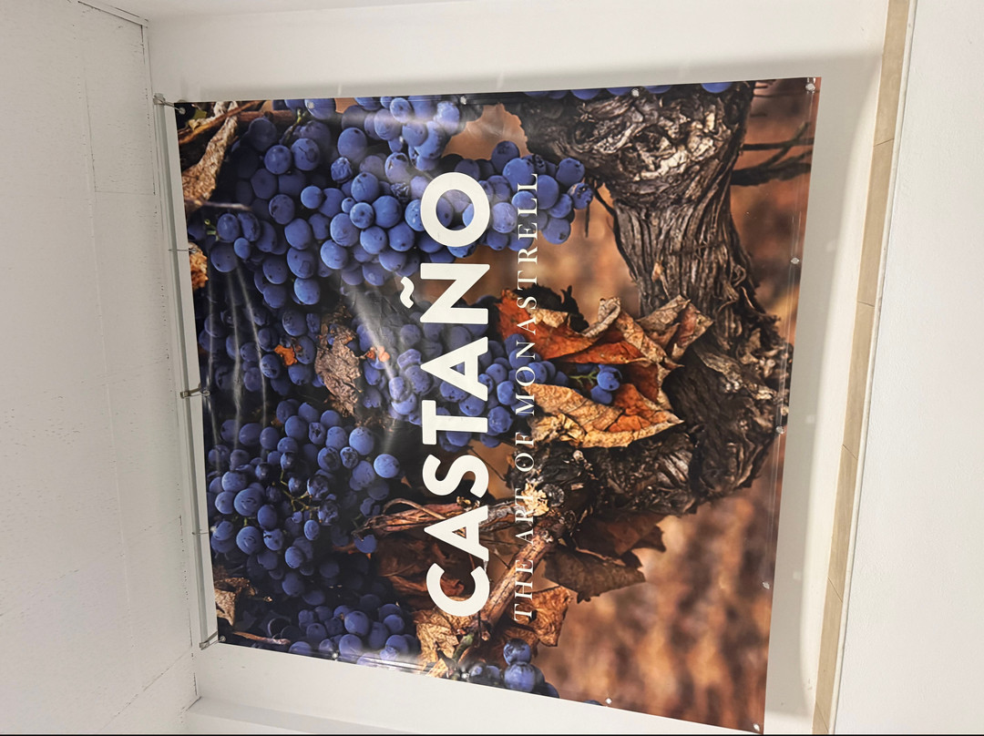 Bodegas Castaño-Yecla必去景点