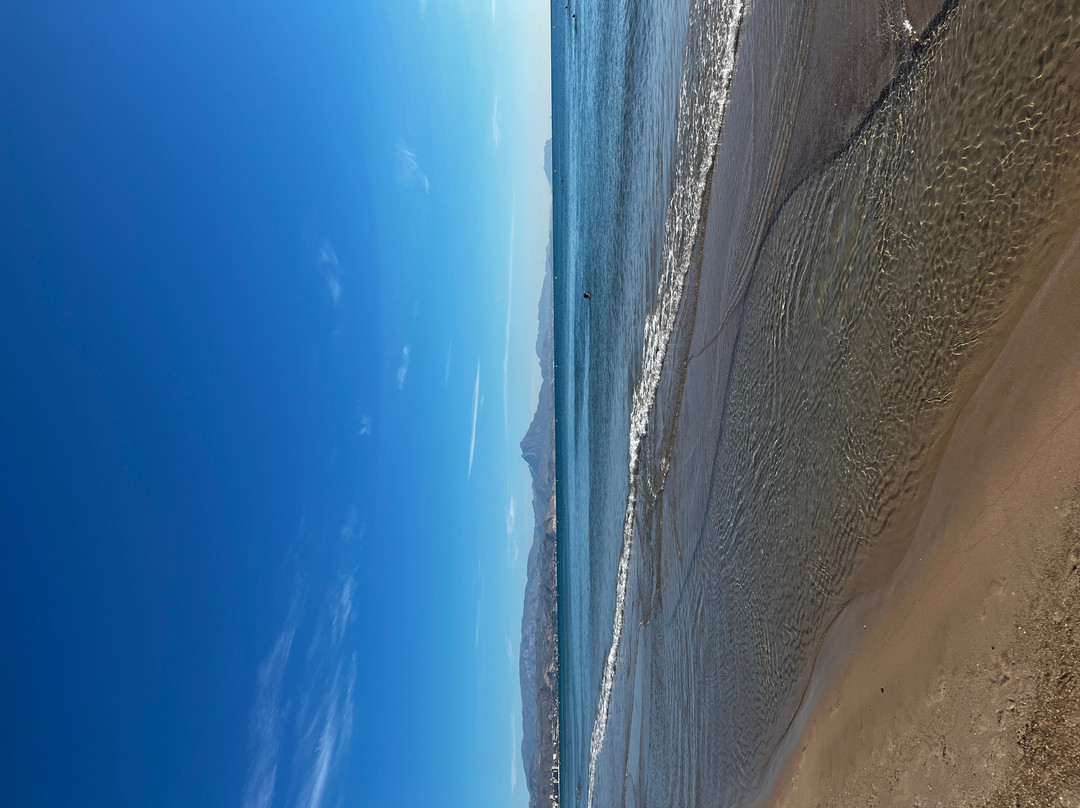 Playa de San Juan-阿利坎特省必去景点