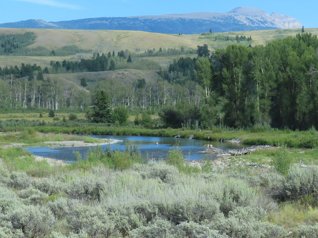 Schwabacher Landing-大提顿国家公园必去景点
