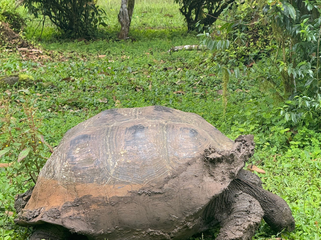 Cruise In Galapagos-阿约拉港必去景点