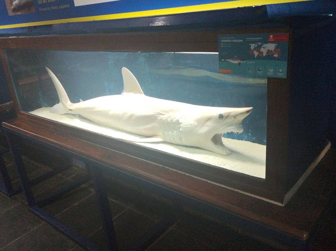 Ubatuba Aquarium-乌巴图巴必去景点