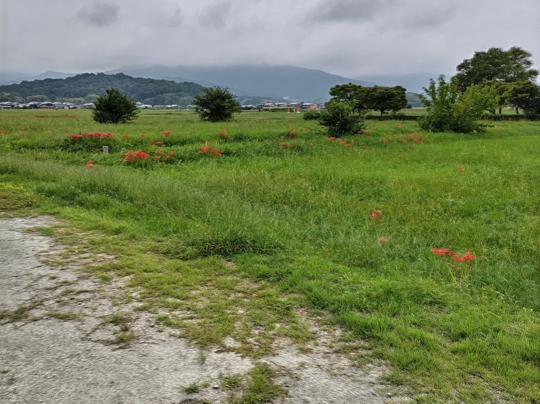 Fujiwara Palace Site-橿原市必去景点