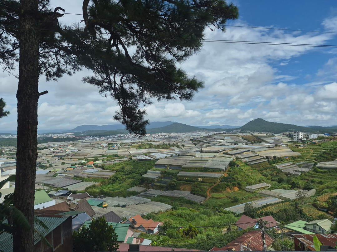 Amega Tour and general trading company limited-河内必去景点