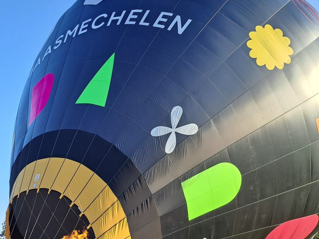 Step in Balloons BV-Molenstede必去景点