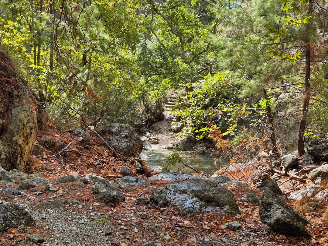 Agia Irini Gorge-Sougia必去景点