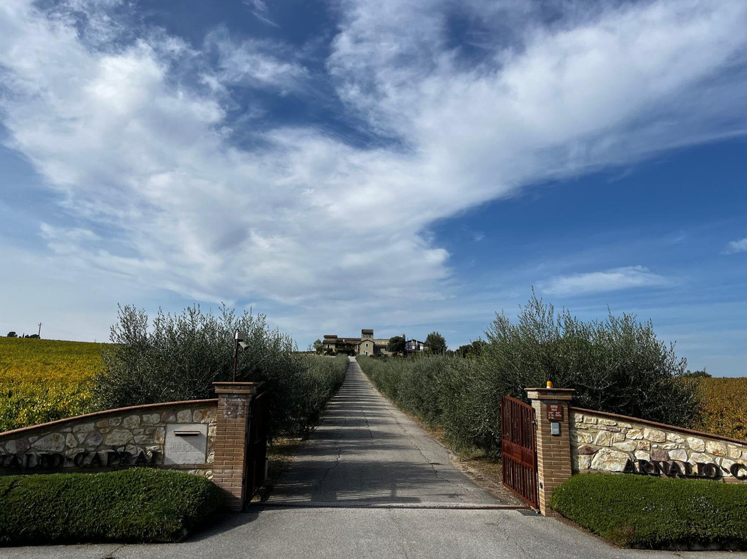 Arnaldo Caprai - Viticoltore in Montefalco-Montefalco必去景点