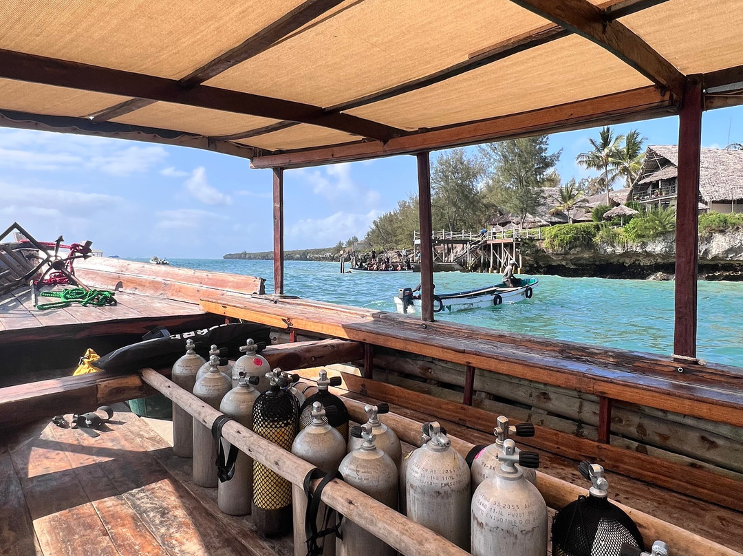 Dive Point Zanzibar-Matemwe必去景点