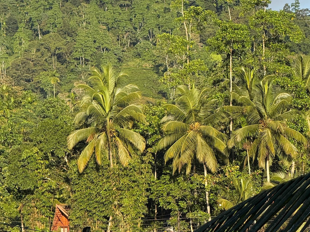 Amazing Sunshine Holidays-康提必去景点