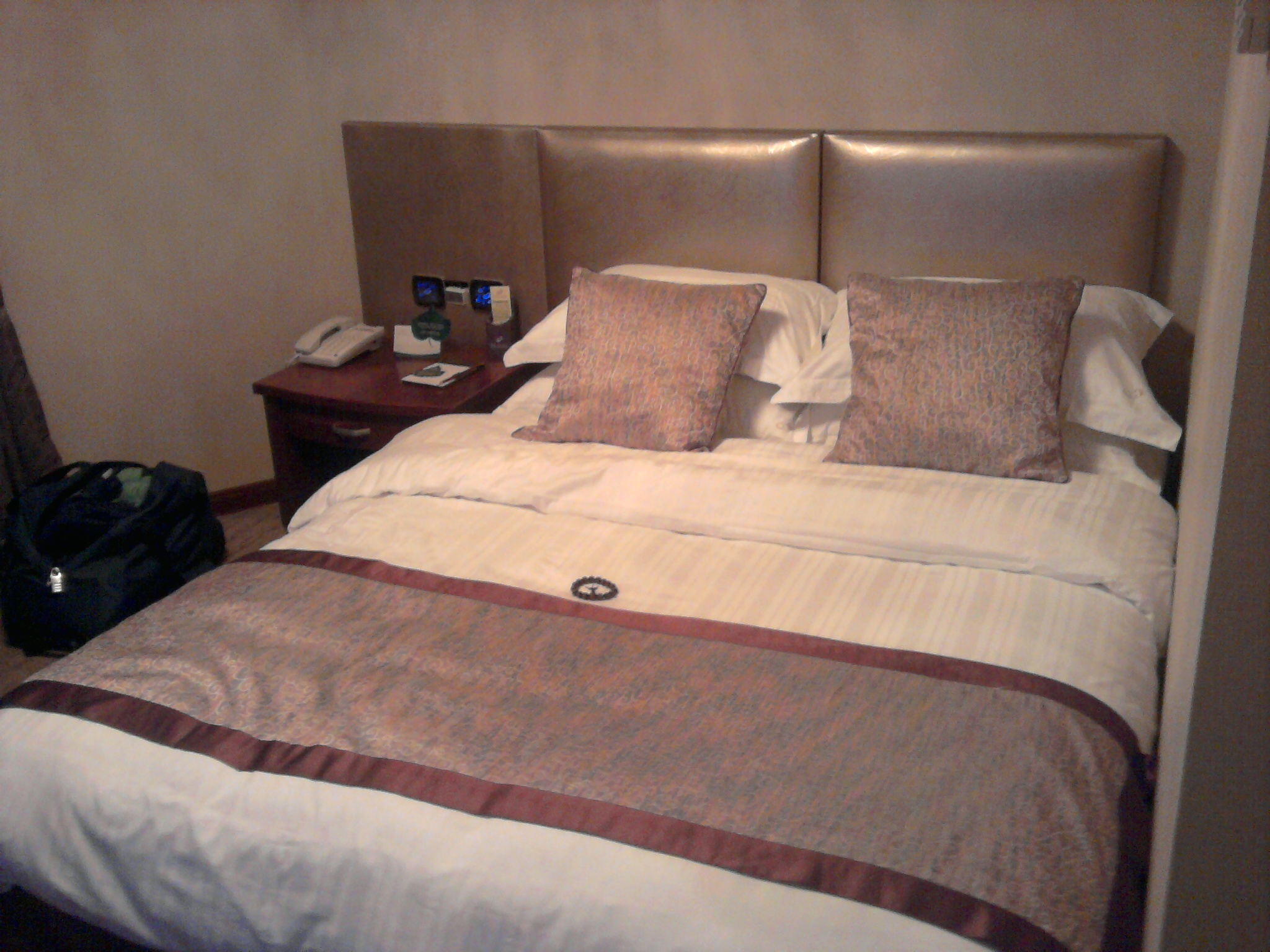 金东方大酒店-客卧