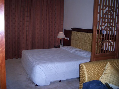 天下第一城正安宫酒店主图