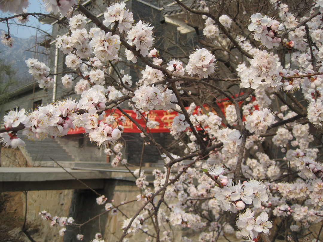 赞皇县旅游景点-封龙山