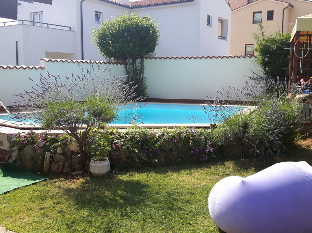 Apartements Bizjak