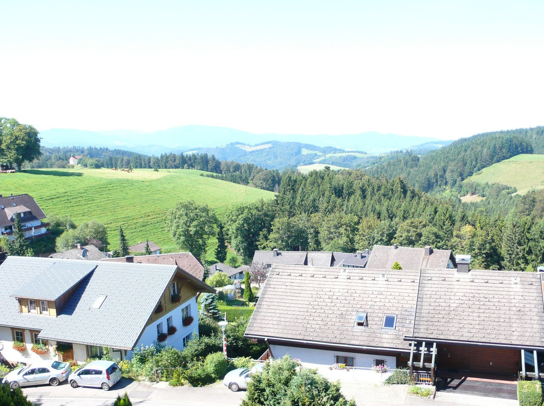 St. Peter im Schwarzwald酒店住宿-Hotel Lowen