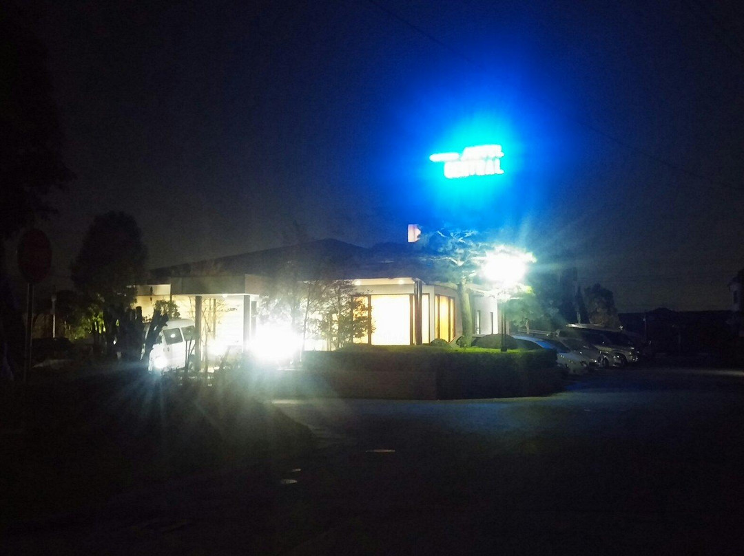 Business Hotel Central