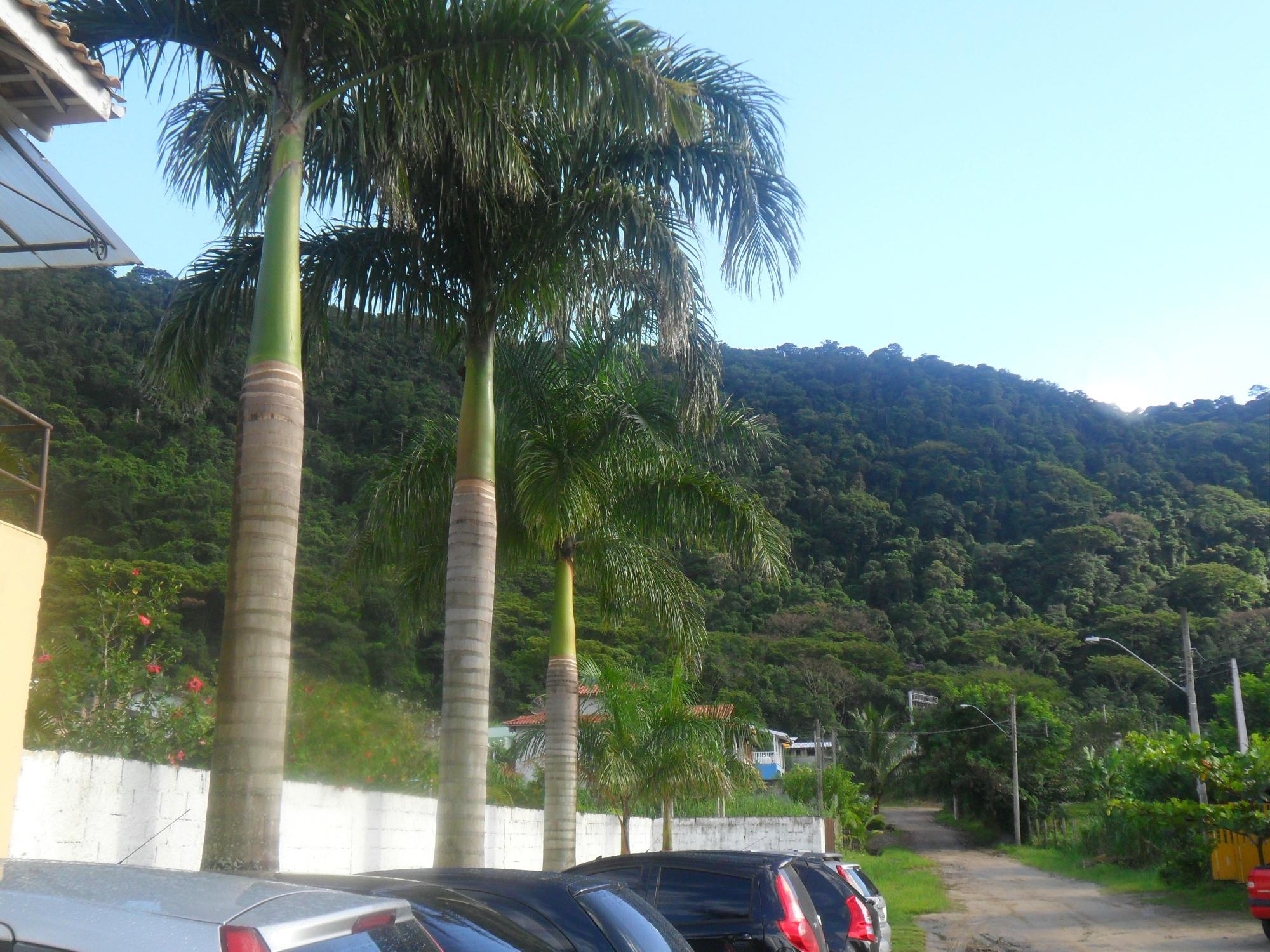 Hotel Portal de Barequecaba-浴室