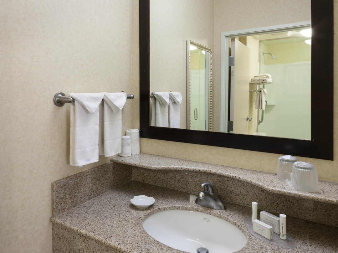 Fishers酒店住宿-SpringHill Suites by Marriott Indianapolis Fishers