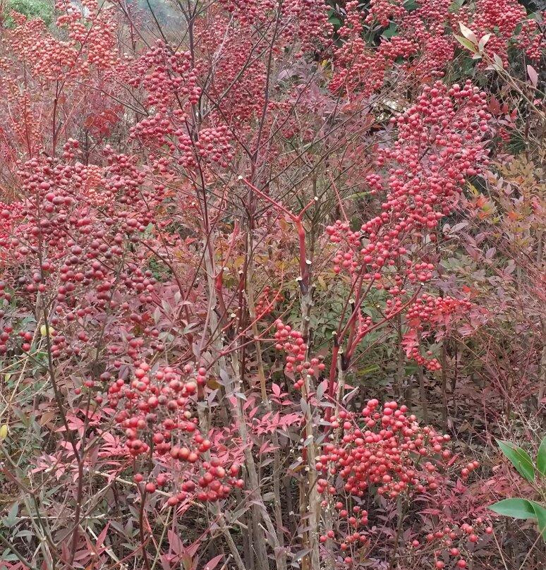 泗州步行街-泗县必去景点
