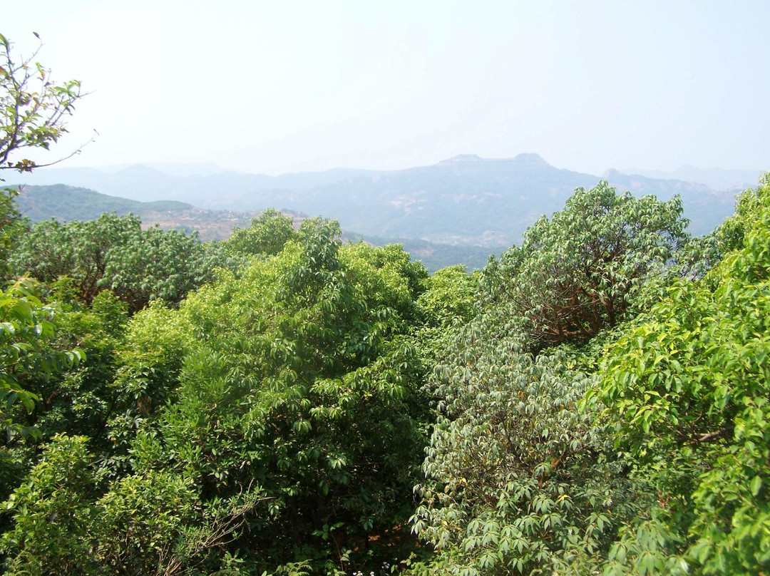 Babbington Point景点图片