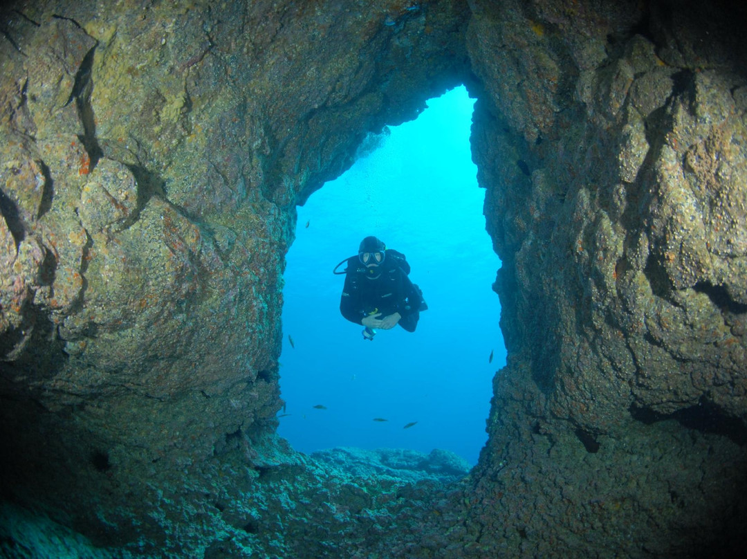 DIVE-MAN Tenerife-拉斯加勒塔斯必去景点