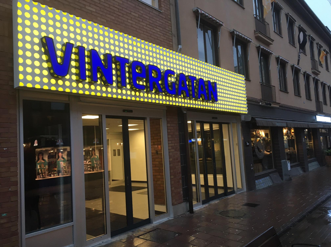 Lovanger旅游景点-Vintergatan Galleria