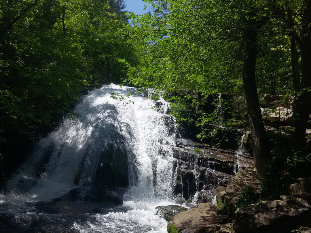 Clifton Forge旅游景点-Roaring Run Falls